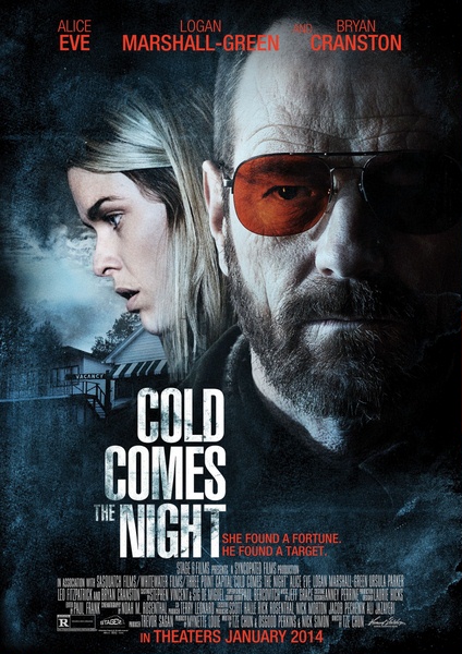 Взгляд зимы / Cold Comes the Night (2013) онлайн